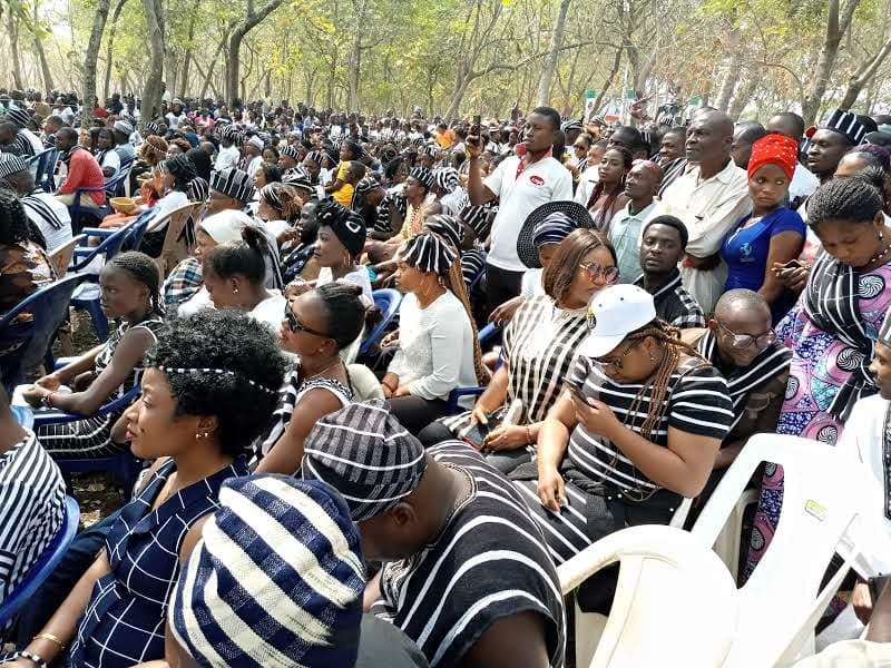 KSS Festival Image 2